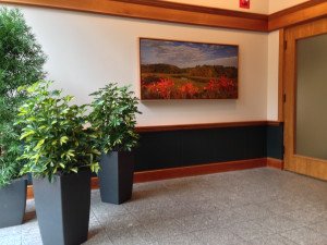 RM Davis Fall Image-IMG_1636