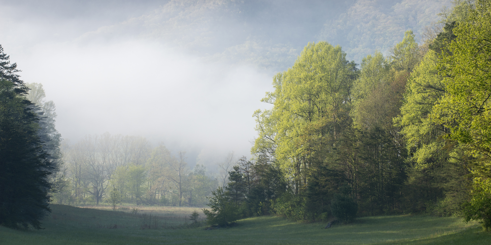 04-16-IOM-Cades Cove Fog Great Smoky Mountain National Park-(SMsp42)_DSC6011