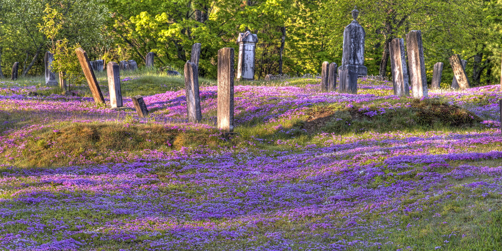 05-16-IOM-New Portland Cemetery-(OVWMsp7)-HDR