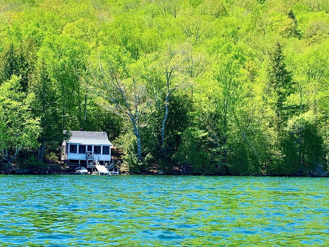 Spring Green appeared in a rush this year with the early arrival of hot weather. The hillsides surrounding Clearwater Pond in Industry, Maine were brilliant today during our canoe paddle around the pond. #industrymaine #clearwaterpond #maineisgorgeous #mainetheway #springgreen #mainephotography #orcuttphotography