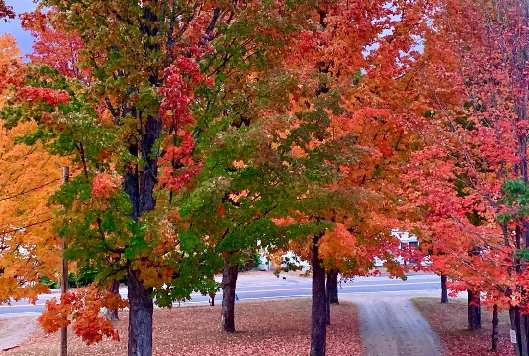 Front yard view from our second floor window. Foliage seemed to have peaked this past weekend. We like the red ground plane. #orcuttphotography #kingfieldmaine #mainefallfoliage #schoolhousepark #mainerheway #mainephotography