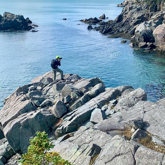 Cindy Orcutt bear the edge, photographing Hamilton Cove on the Bold Coast of Maine. #boldcoastmaine #orcuttphotography #mainetheway #mainephotography #hamiltoncovemaine