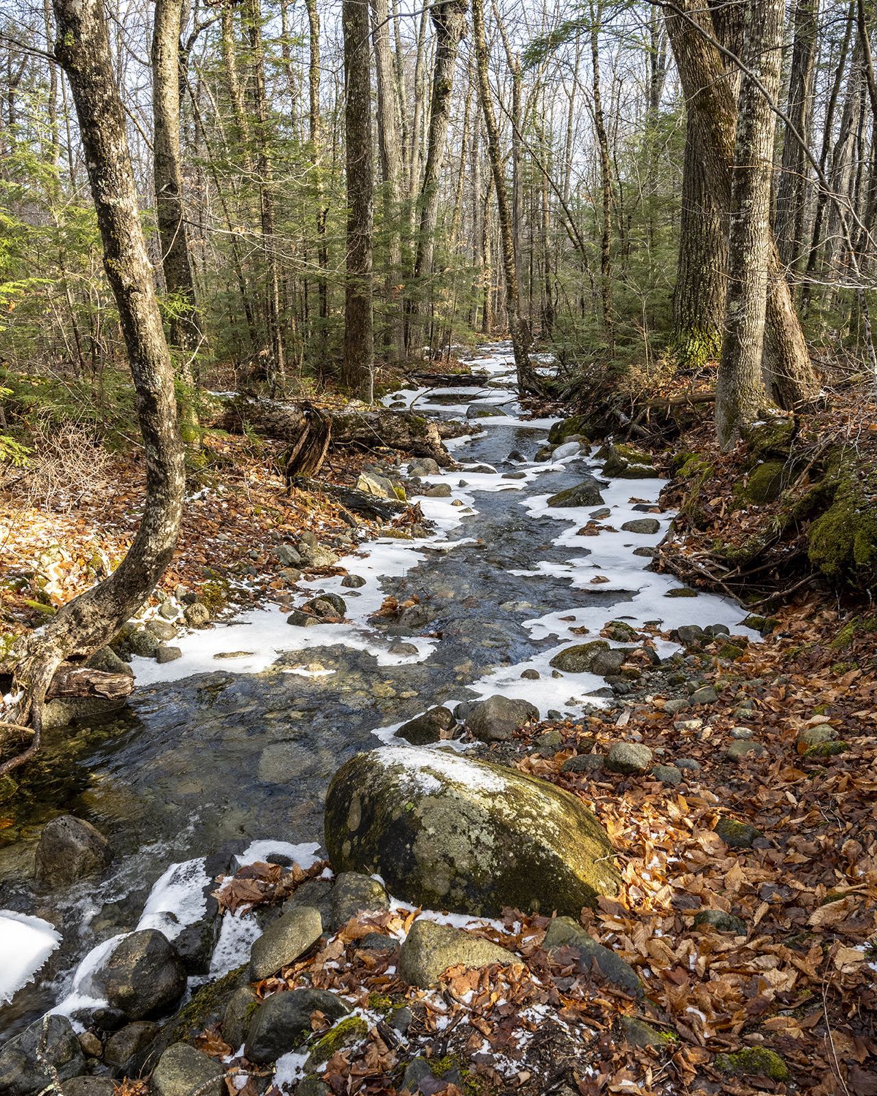 This small stream along the Appalachian Trail was outlined by thin ice as we Hiked Little Bigelow yesterday. Leafless trees provide open views into the woods and added depth to the forest landscape as we transition to winter. #appalachiantrail #orcuttphotography #mainenaturephotography #transitionseason #mainetheway #maineisgorgeous #downeastmagazine