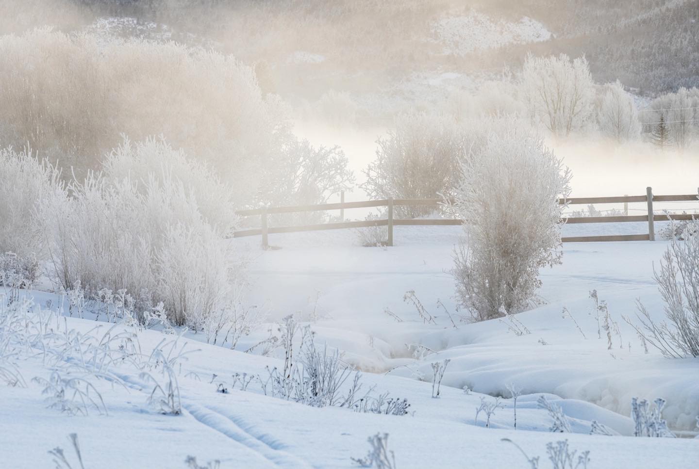 Our front yard in Teton Valley, Idaho on a frosty morning, as the sun begins to break through the winter smoke. Though snow levels are not as high as past years, we are experiencing good ski conditions on sunny days. #tetonvalleyidaho #bestofthegemstate #orcuttphotography #victoridaho #winterphotography #frostphotos