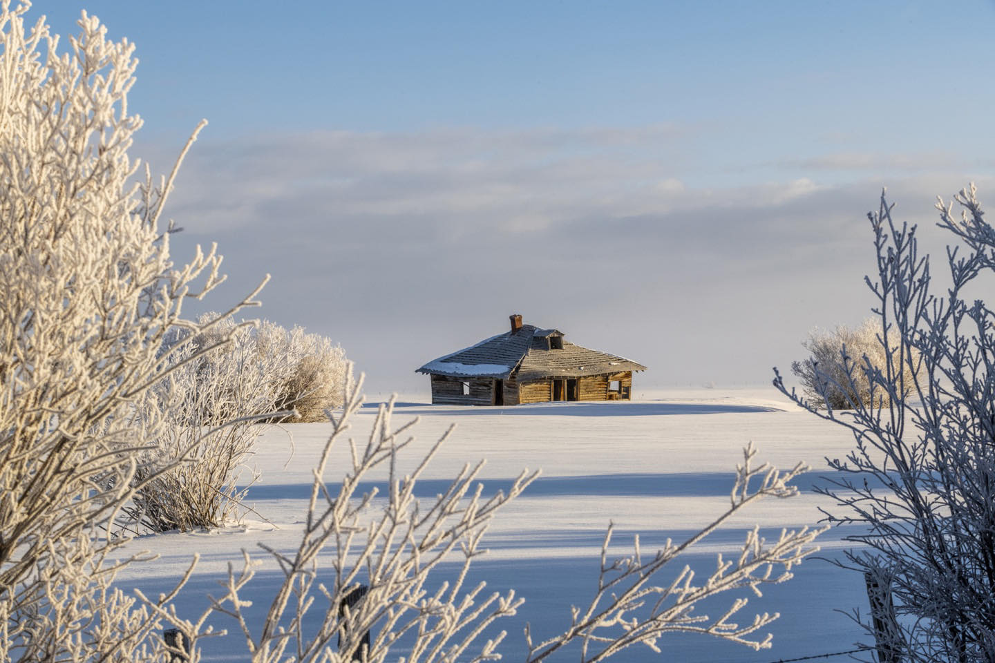 An old house we call, “Windblown” is on the unplowed road behind our Victor, Idaho winter home. On these cold January mornings all the trees and plants along the valley roads are coated with heavy hoarfrost, providing great framing options for subjects in the open fields. #tetonvalleyidaho #victoridaho #orcuttphotography #bestofthegemstate #idahowinterphotography #windblown