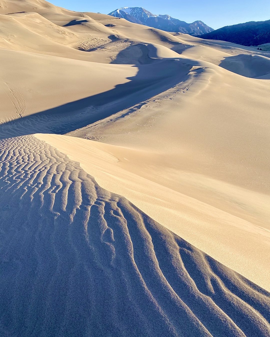 We are spending the next two days in Great Sand Dunes National Park in southeastern Colorado. Huge Dunes are magnificent! This is One of Cindy Orcutt’s early morning images. #greatsanddunesnationalpark #orcuttphotography.com #vanlife #photographywhiletravelingbyvan #sanddunes #southeasterncolorado