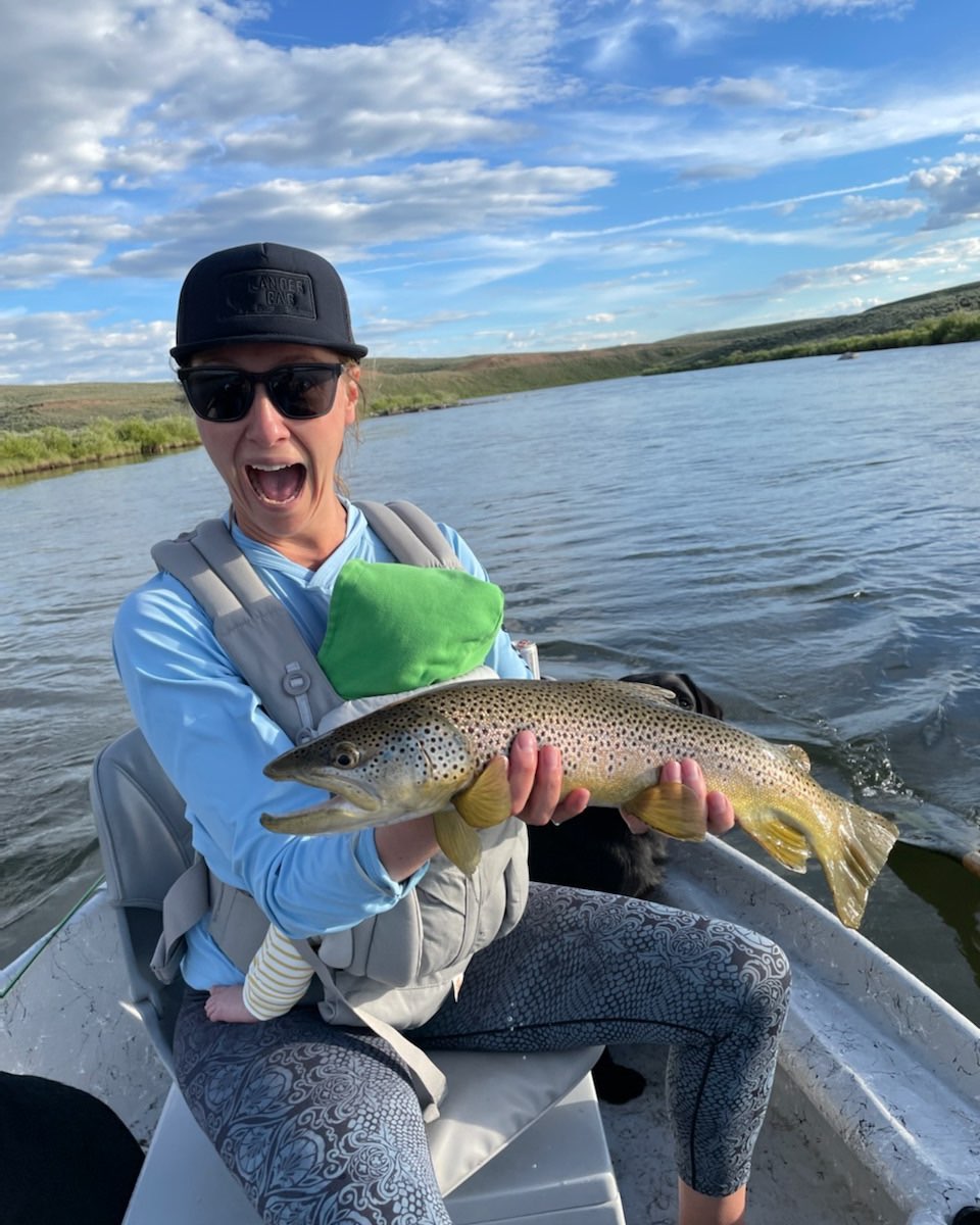 Big Brown Trout hooked by Hannah Orcutt Mook on the Green River near Pinedale, WY a few days ago. Will Mook, who was piloting the drift boat reported that baby Abby in an Ergo Baby carrier attached to Mom never stirred from her slumber when Hannah landed the fish! #fishingmoms #greenriver #pinedalewyoming #hannahandwill
