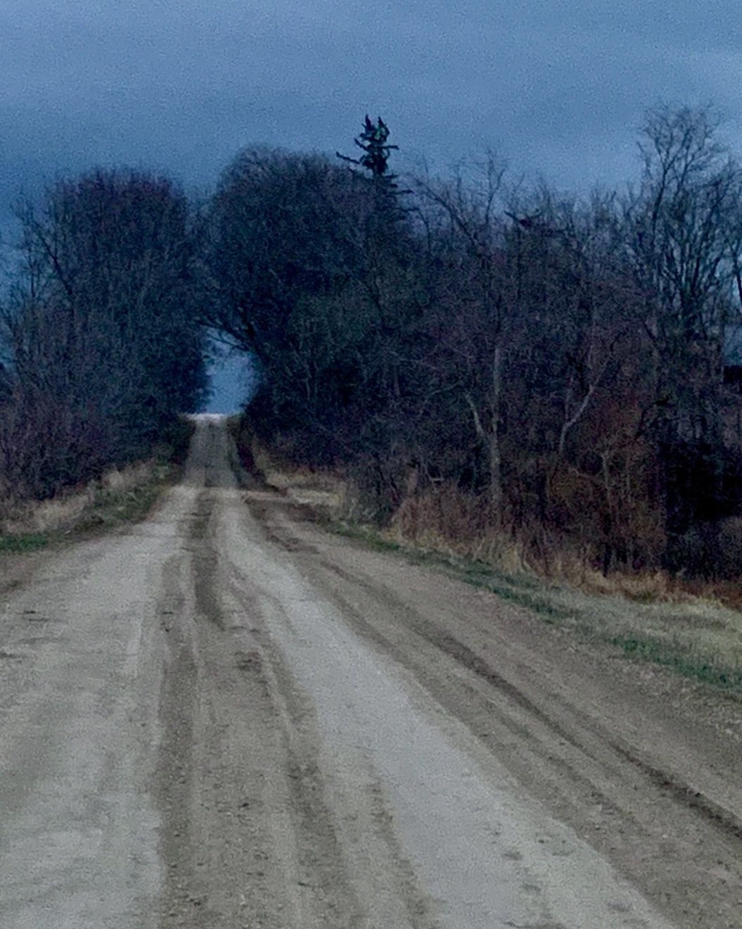 Rural road in eastern Iowa. We are staying at a Harvest Host site, Oak Tree Homes, in Wilton, Iowa. Flat, open country with beautiful forested accents, where there are homesteads. #harvesthosts #oaktreehomes #wiltonlowa #iowaphotographs #orcuttphotography