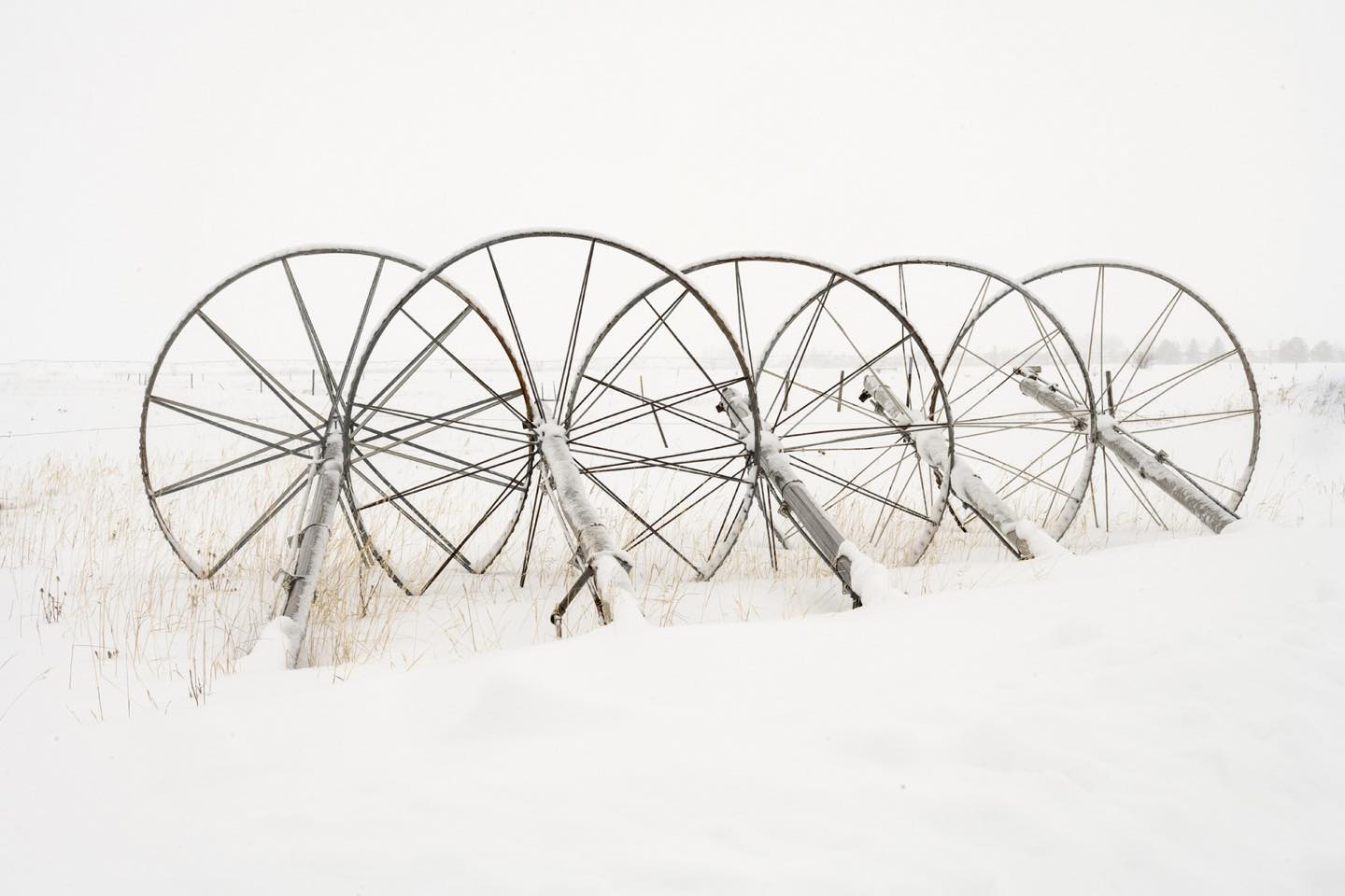 Wheel Line parts in Driggs, Idaho. When assembled during the growing seasons these wheels and pipes form long lines that move across the landscape, irrigating field crops. Stored at the edges of fields in winter, they provide great subjects for photo art! #driggsidago #bestofthegemstate #wheellines #wheellineart #orcuttphotography tetonvalleyidaho