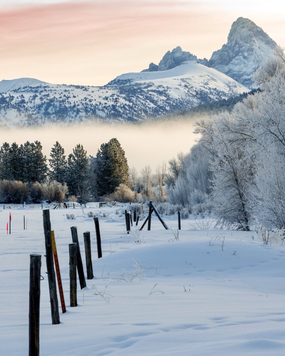 View of the Grand Teton from our backyard in Driggs, Idaho on a cold morning. We are skiing just about every day now and feeling comfortable at these higher altitudes. #grandteton #tetonvalleyidaho #driggsidaho #bestofthegemstate #orcuttphotography
