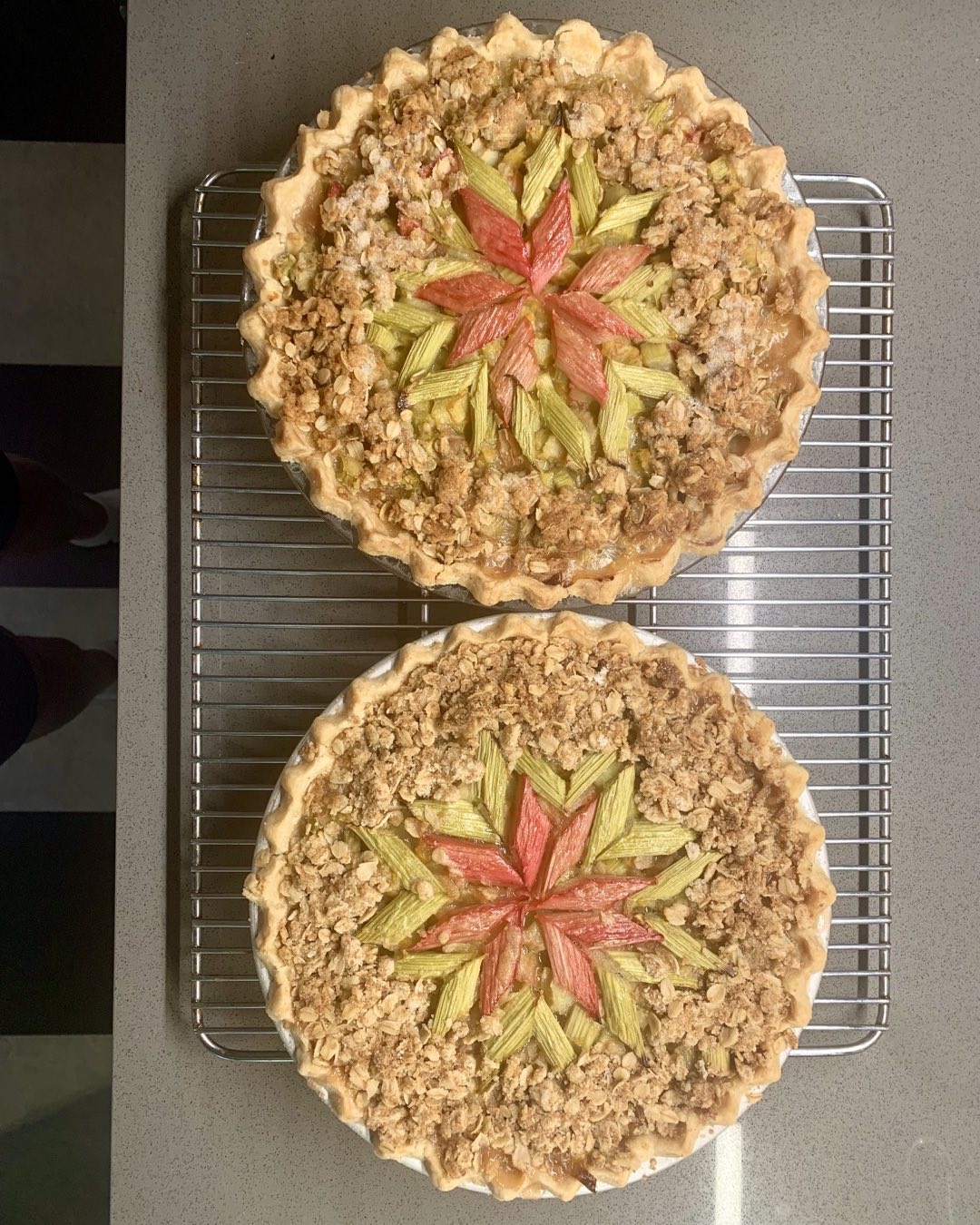 Rhubarb pies made by Cindy Orcutt in Kingfield, Maine. Essential ingredient from the neighborhood patch. #rhubarbpies #kingfieldmaine #orcuttphotography #neighborhoodrhubarbpatch