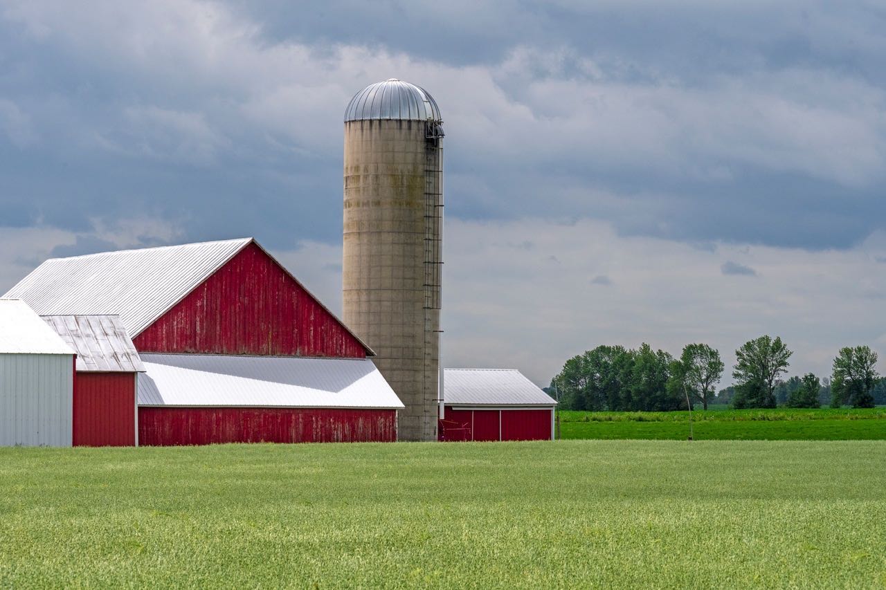 Farm buildings with oat field in the foreground on Door County, Wisconsin. Door County, a peninsula on the west side of Lake Michigan has a great climate and topography for farming soybeans, corn, oats and other field crops. #doorcountywisconsin #midwestfarms #orcuttphotography