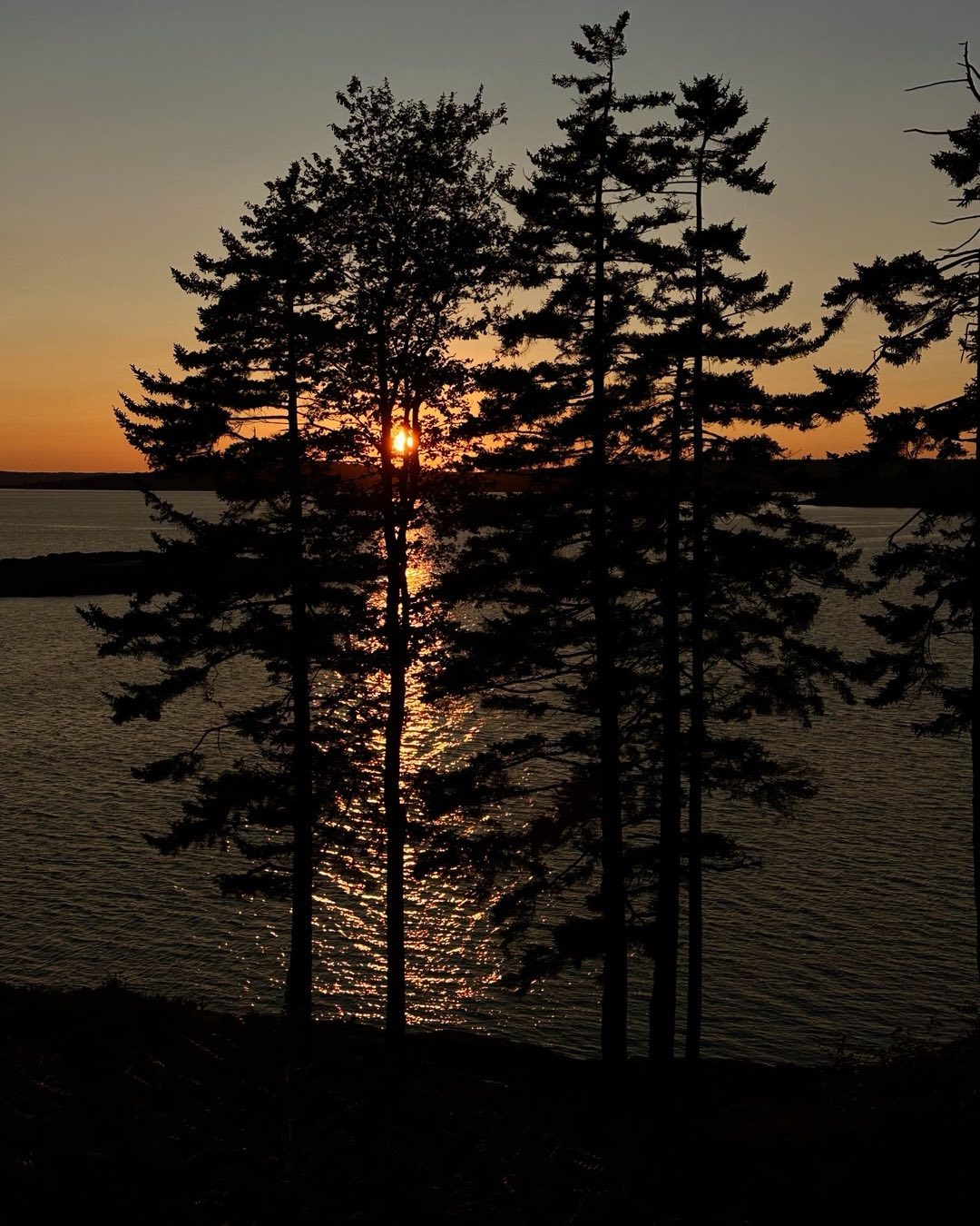 Sunset on Mt Desert Island near Acadia National Park last weekend. Beautiful weather and good company. We biked the Carriage Trails several times. #acadianationalpark #mtdesertisland #sunsetinmaine #carriagetrails