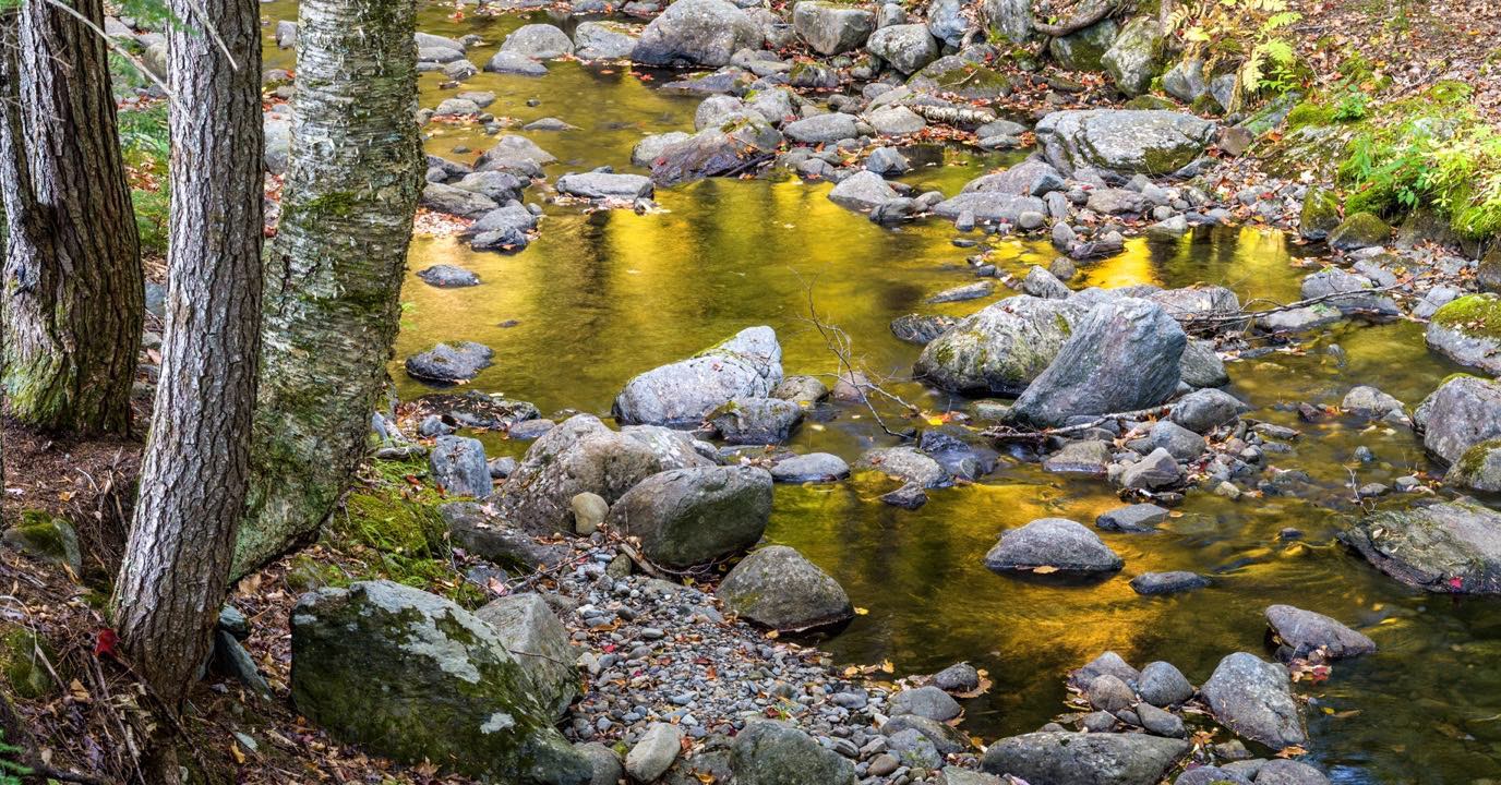 Reed Brook below the falls in Kingfield, Maine. The gold reflection from the overhead foliage illuminates the small pool, providing a late afternoon glowing accent to the wooded pathway to the falls.