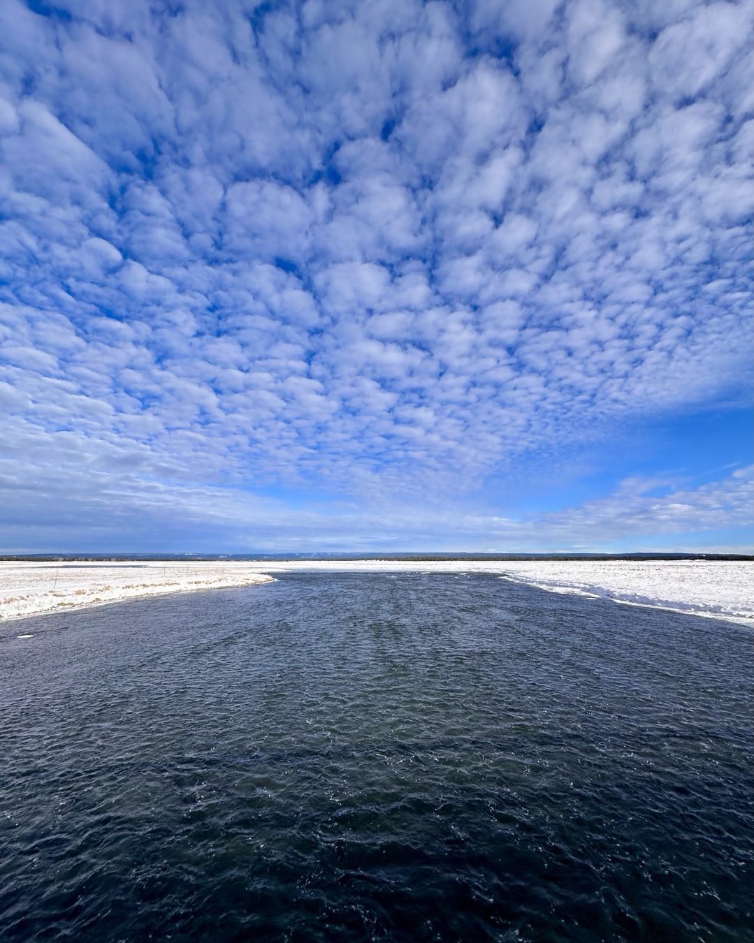 The fabled fishery, Henry’s Fork of the Snake River in Harriman State Park, Idaho, flows open all winter long. This image is from the bridge connecting the state park with the community of Island Park.