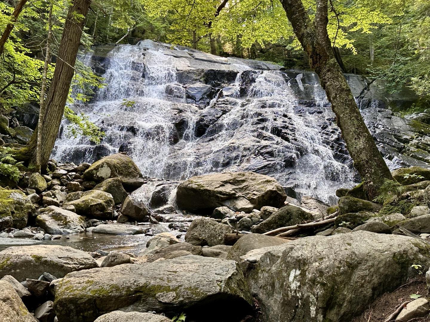 I did the short hike into Reed’s Brook Falls just a few miles north of Kingfield, late this afternoon. The woods are wet and lush!