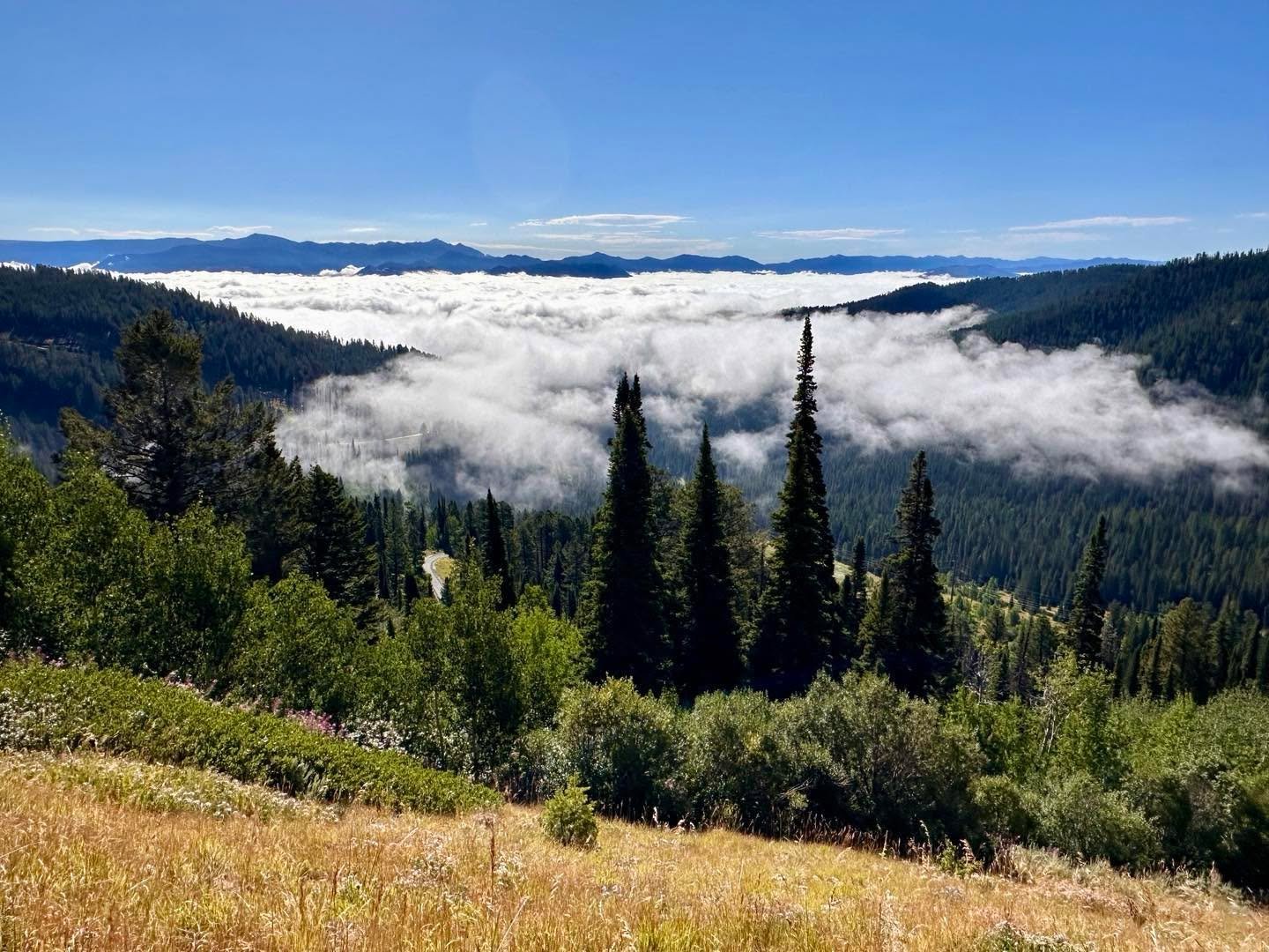 Above the clouds this morning, driving over Teton Pass from Idaho to Jackson Hole.