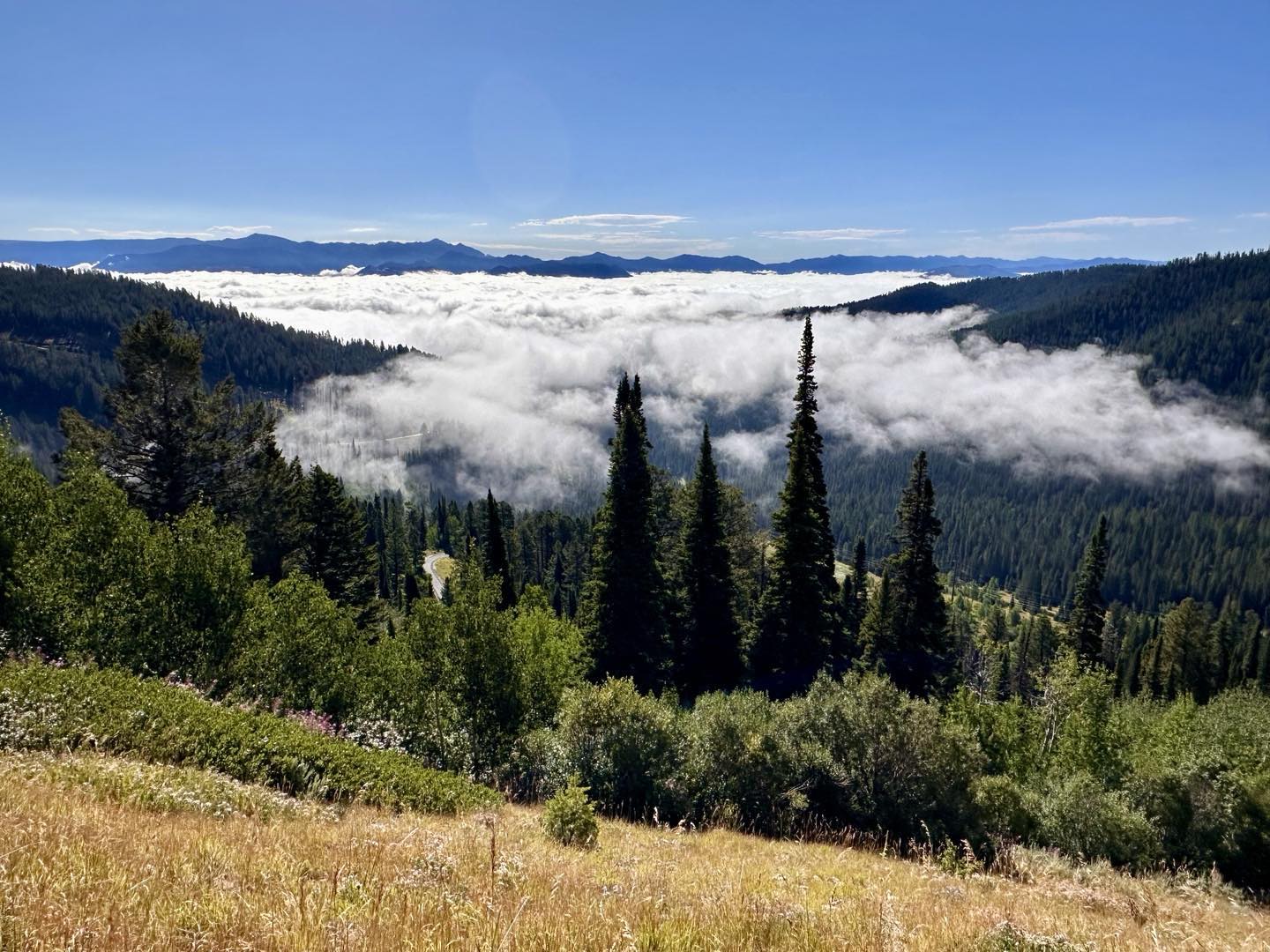 Above the clouds this morning, driving over Teton Pass from Idaho to Jackson Hole.