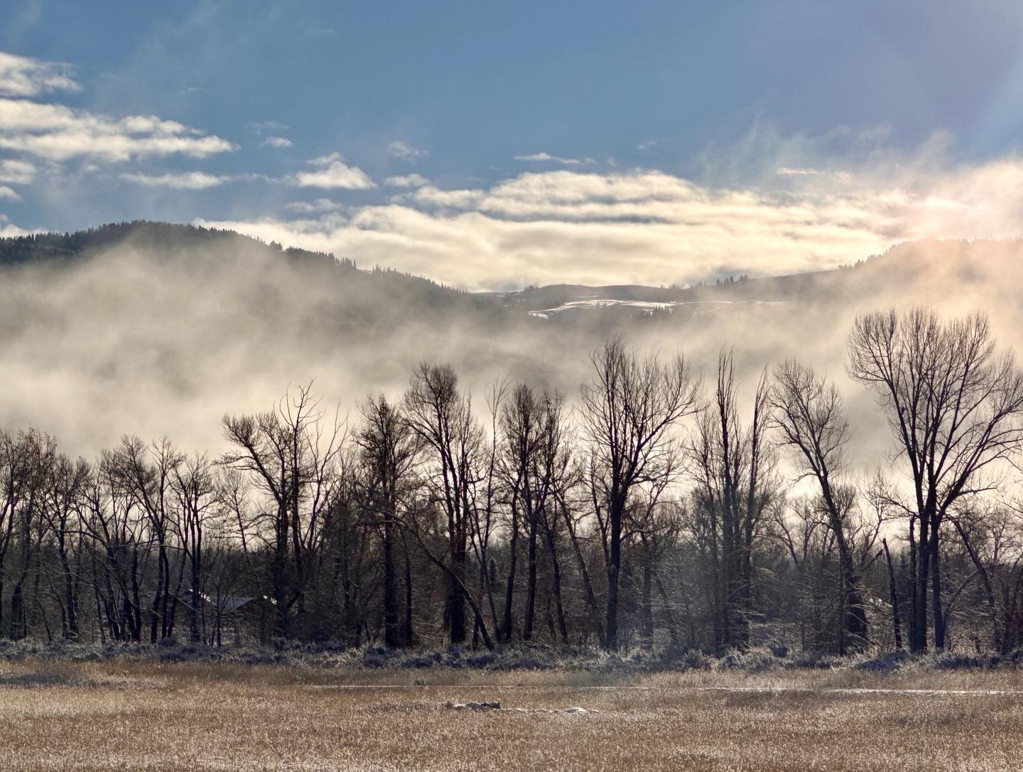 Chilly, bright and sunny morning in Teton Valley, today, looking toward western Wyoming.